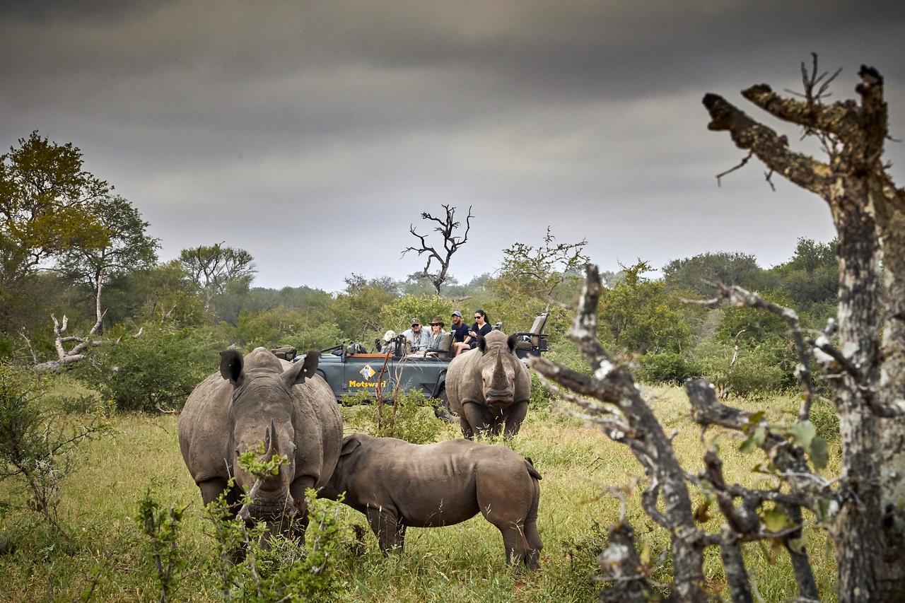 Motswari Private Game Reserve By Newmark محمية تيمبافاتي غيم المظهر الخارجي الصورة